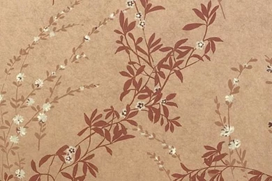 Fiona Wallpapers Bronze