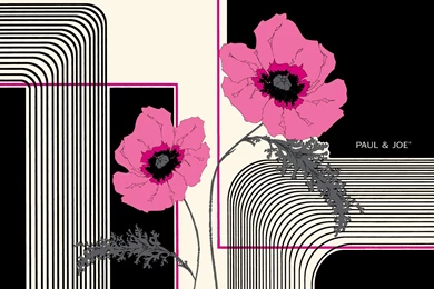 Paul & Joe Wallpapers 12584