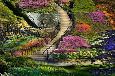 Garden Full HD wallpaper for computer.jpg