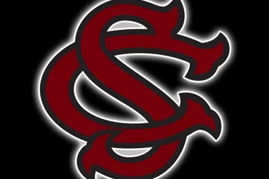 Free South Carolina Gamecocks iPhone Wallpapers. Install In ...