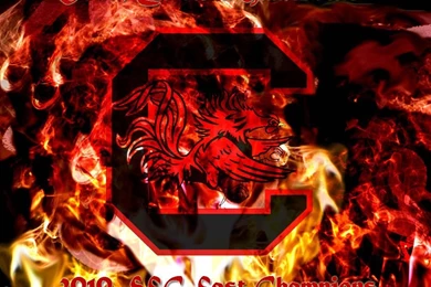 Gamecocks Wallpapers   Wallpapers Cave