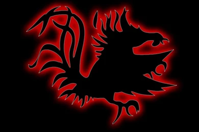 Wallpapers College Wrestling Gamecock 1152x864