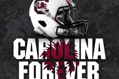 Gamecockology On Twitter: "