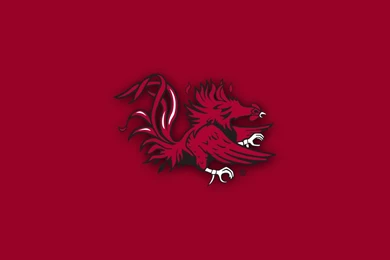 SOUTH CAROLINA GAMECOCKS College Football Wallpapers