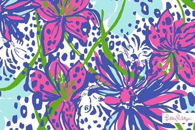 Lilly Pulitzer Dresses 2015   Wallpaper.