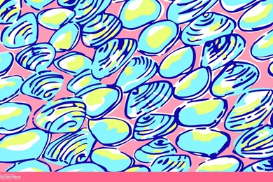 An Unofficial Collection Of Lilly Pulitzer Prints