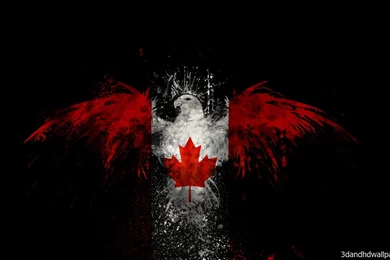 Black Backgrounds Eagle Wings Red Colour HD Wallpapers ...