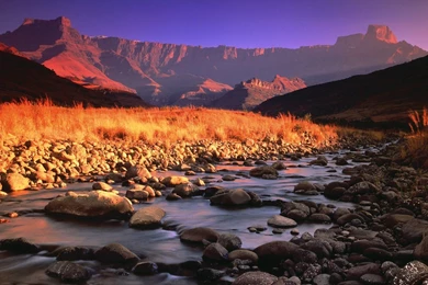 South Park, Wallpapers, Nature, National, Natal, Royal, Africa ...