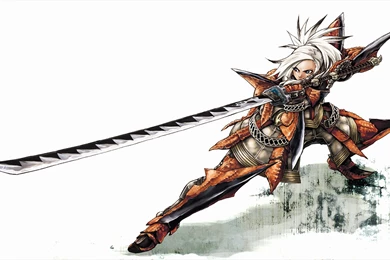 Monster Hunter Computer Wallpapers, Desktop Backgrounds ...