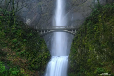 Screen Saver Free. Wallpapers Free Download. Desktop Wallpapers ...