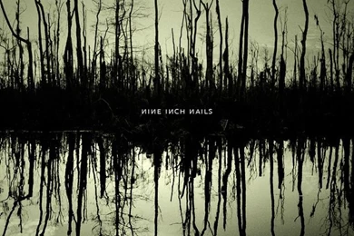 NIN: "Ghosts I IV" iPad Wallpapers