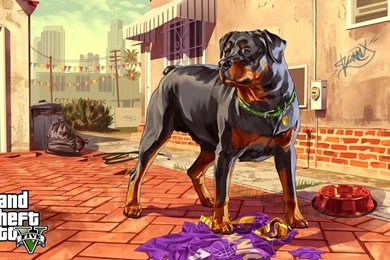 Grand Theft Auto V   (