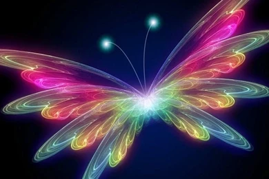 Wallpapers Of Insect And Animals