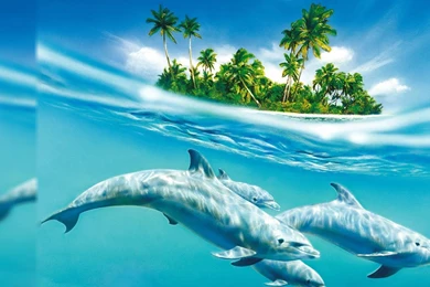 Top Desktop Backgrounds Wallpapers 9.jpg