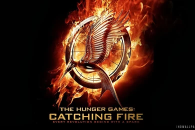 Katniss In The Hunger Games Catching Fire HD Wallpapers   IHD ...