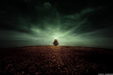 New Wallpaper Backgrounds   Wallpapers Cave