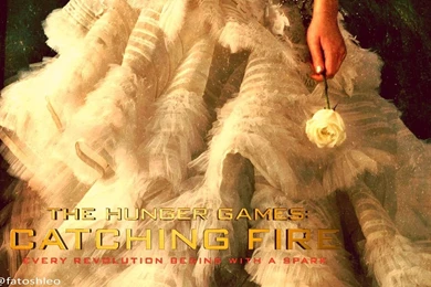 Catching Fire Wallpapers   Catching Fire Movie Wallpapers (34074866 ...