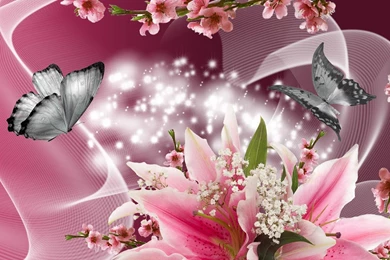 Lilies Apple Blossoms HD Desktop Wallpapers : Widescreen : High ...