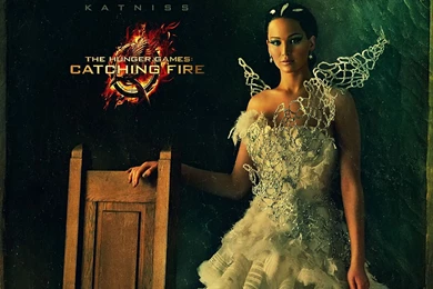 The Hunger Games   Catching Fire Wallpapers (3)