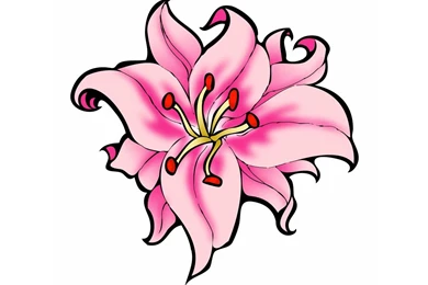 Free Designs   Pink Lily Tattoo Wallpapers