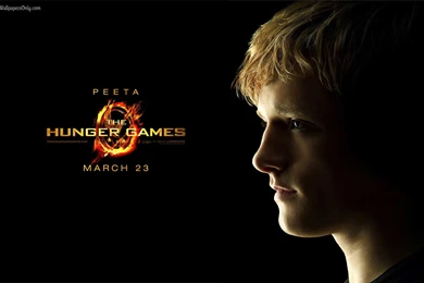 The Hunger Games: Catching Fire Wallpapers   LivingFilms Wallpapers ...