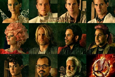 The Hunger Games: Catching Fire Wallpapers