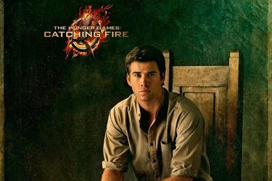 The Hunger Games: Catching Fire Computer Wallpapers, Desktop ...