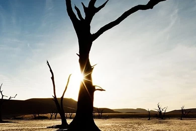 Free Retina iPhone 6 Plus Wallpapers 23021 Nature iPhone 6 Plus ...