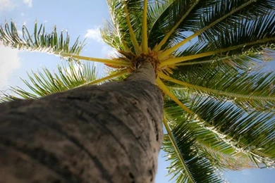 iPhone Retina Wallpapers By Guymiller On DeviantArt