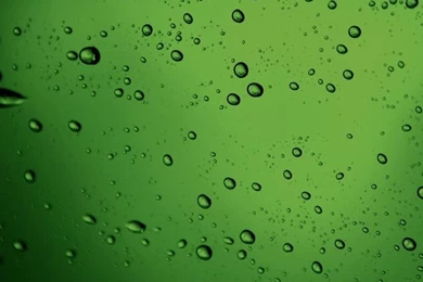 IWallpapers   Beautiful Retina Green Water Droplets