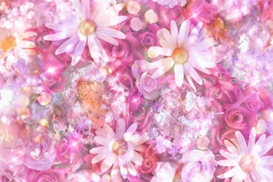 Violet, Daisy, Flower, Art, 1920x1200 HD Wallpapers And FREE Stock ...