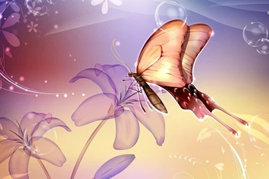 Butterfly On A Flower Wallpapers Digital Art Wallpapers