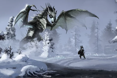 Skyrim Dragon Wallpapers Desktop Backgrounds