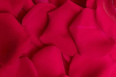 The First Series Of Backgrounds Material 3072   Backgrounds Color ...