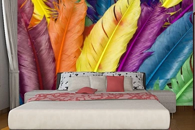 Wallpapers Software Picture   More Detailed Picture About ...