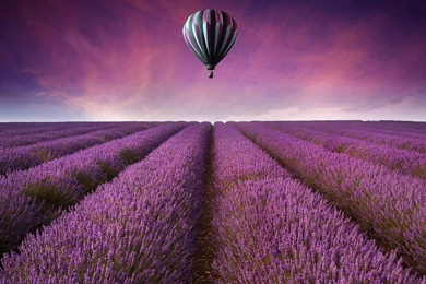 Hot Air Balloon Computer Wallpapers, Desktop Backgrounds ...