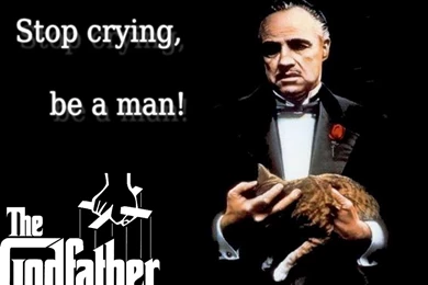Quotes From The Godfather. QuotesGram