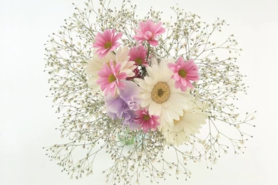 Jamahule: Flower Art