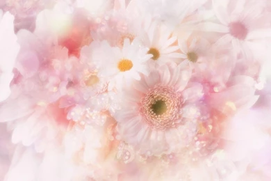Free Wallpapers   Free Art Wallpapers   CG Flower 1 Wallpapers ...
