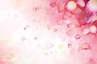 Floral Vector HD Wallpapers