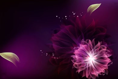 Purple Abstract Beautiful Flower Art Wallpaper: Desktop HD ...