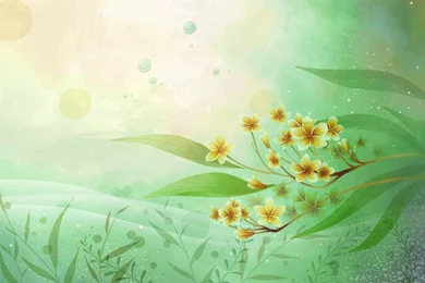 Green Vector Art Flower HD Wallpapers