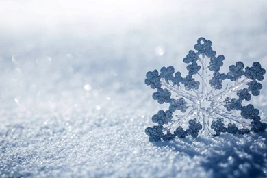 Nature Snow Winter Snowflake Christmas Bokeh Wallpapers