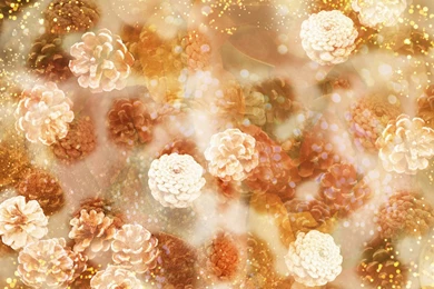 Desktop Wallpapers · Gallery · Windows 7 · Clip Art Daisy Flower ...