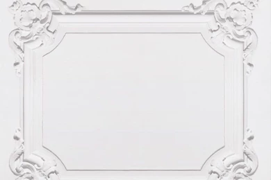 Louis xv vintage white paneling wallpaper.jpg