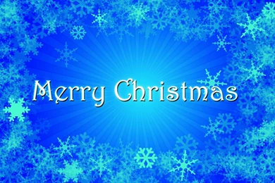 Snowflakes   1455596