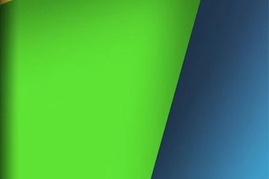 Google Nexus Wallpapers For Iphone   Twitter bird With Twitter Bird ...