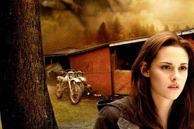 Bella Swan Wallpapers   Bella Swan Wallpapers (30827365)   Fanpop ...