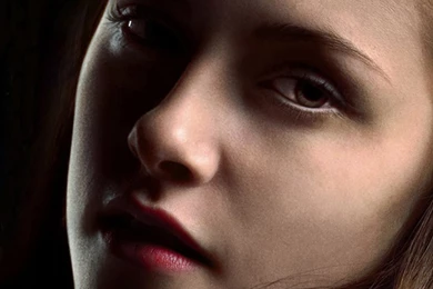 Bella Swan Character One Sheet Edward And Bella