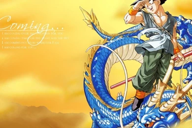 Dragon Ball Z Dragon Goku Hd Wallpapers   (